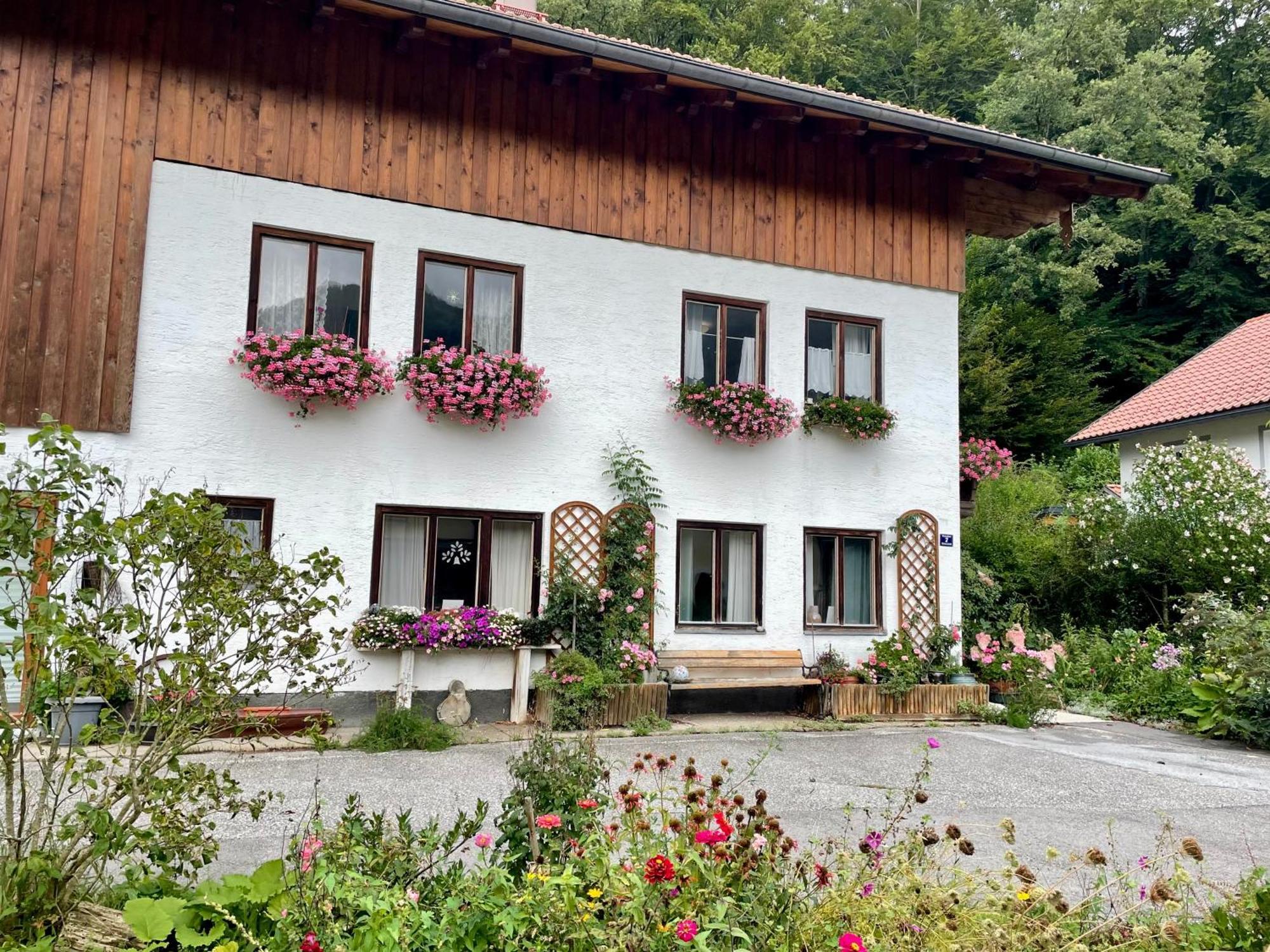 Meine Zeit Apartment Elsbethen